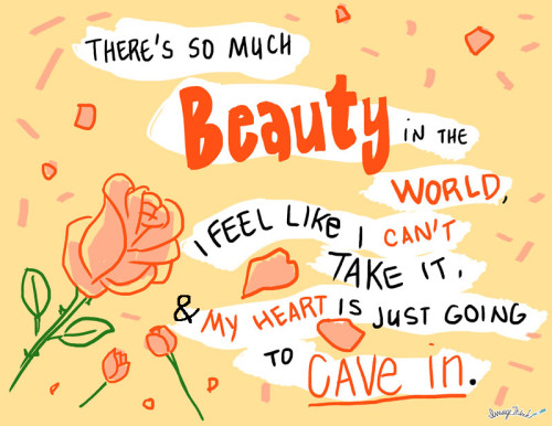 americanbeauty